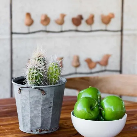 Colonial - Al Lado De La Playa (adults Only) Lejlighed